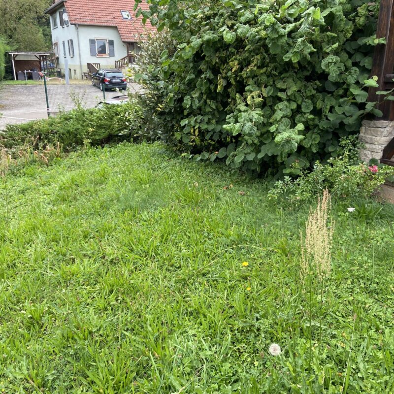 Découvrez notre chantier de rénovation d&#8217;un jardin et devanture de maison à Steinbach Riedisheim 2